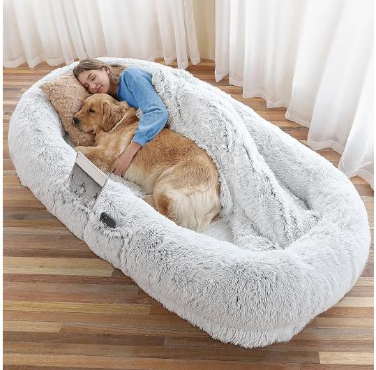Dog Bed - petspots