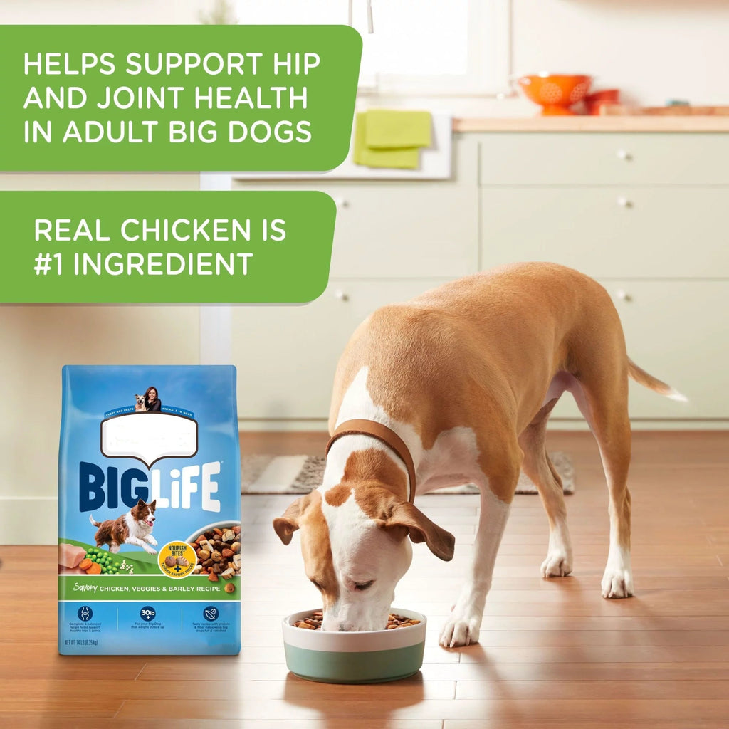 Big Life Dry Dog Food for Big Dogs; Savory Chicken; Veggies & Barley Recipe; 40-Pound Bag - petspots