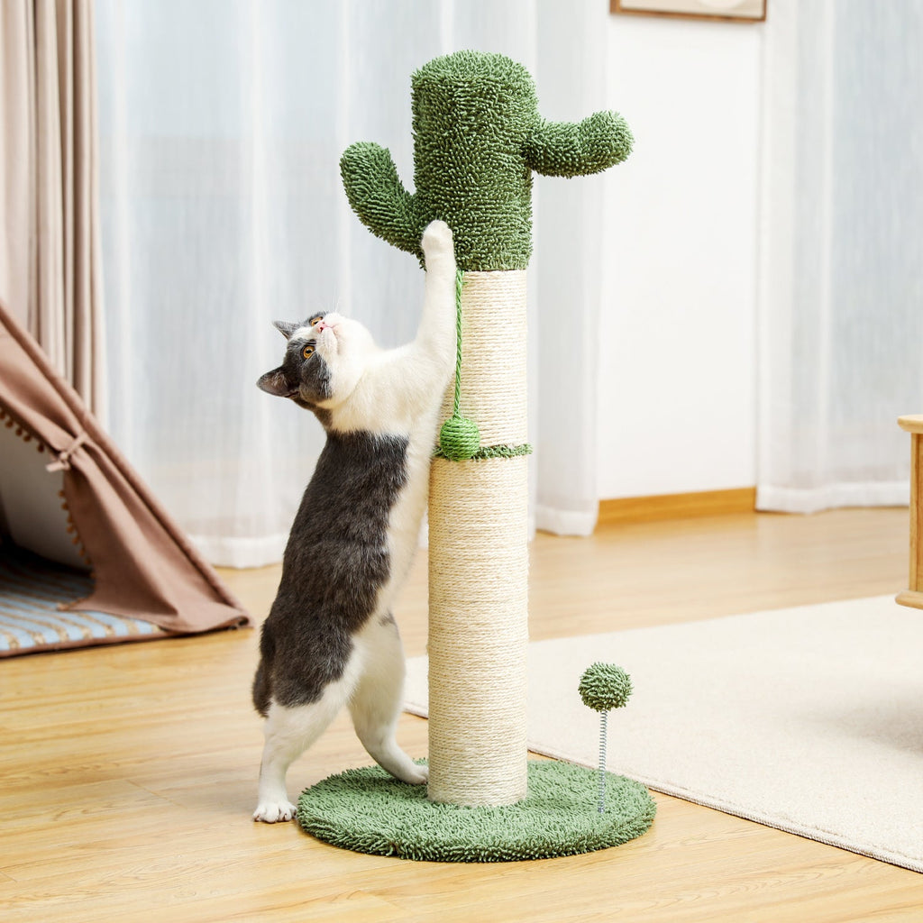 Cactus Cat Tree Cat Scratcher with Sisal Scratching Post and Interactive Dangling Ball For Indoor Cats White - petspots
