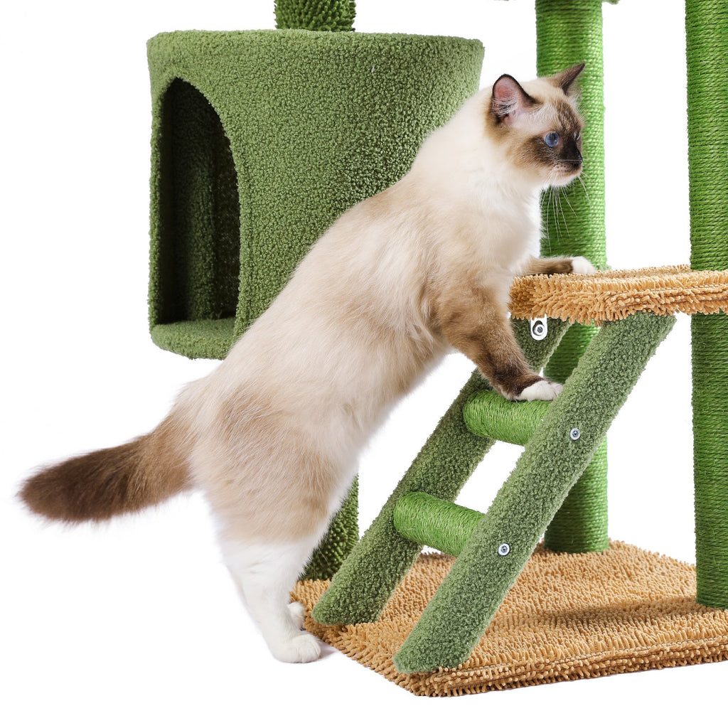 Desert Cactus Cat Tree Ladder Multi Levels Condo - petspots
