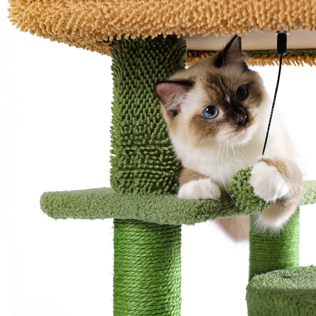 Desert Cactus Cat Tree Ladder Multi Levels Condo - petspots