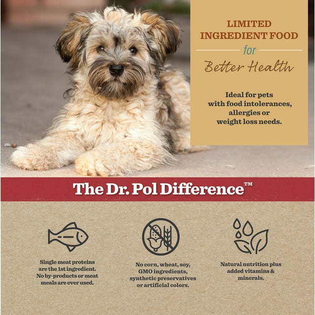 Dr. Pol Healthy Balance Limited Ingredient Grain-Free Salmon Recipe Adult Dry Dog Food for All Breeds, Ages and Sizes of Dogs, 4 lb. Bag - petspots