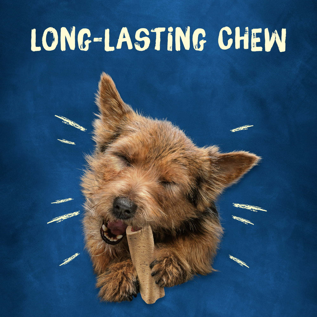 Purina Busy Long Lasting Chews for Dogs, 21 oz Pouch - petspots