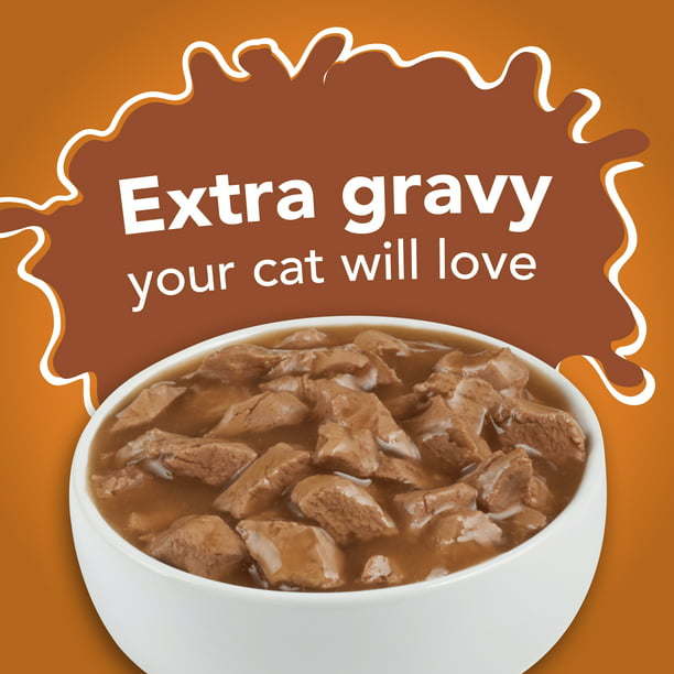 Purina Friskies Extra Gravy Chunky Wet Cat Food Variety Pack, 5.5 oz Cans (24 Pack) - petspots