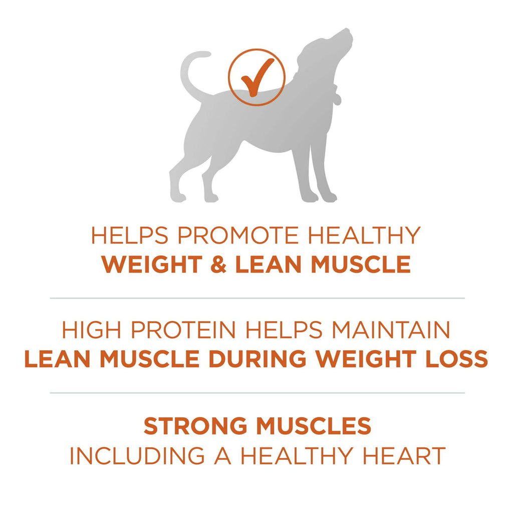 Purina ONE Plus Healthy Weight Dog Food Dry Formula - petspots