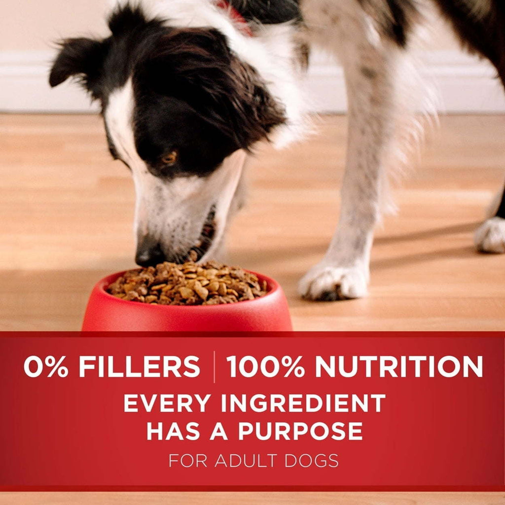 Purina ONE SmartBlend Natural Lamb and Rice Formula Adult Dry Dog Food (44 lbs.) - petspots