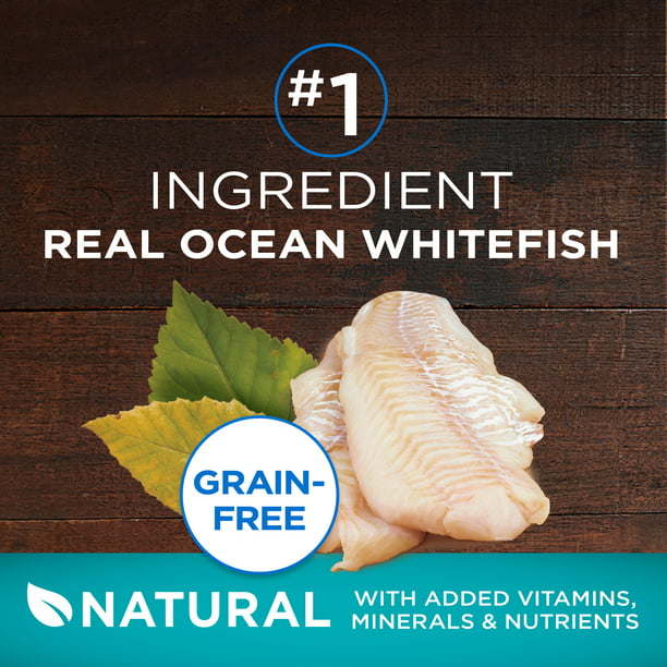 Purina One True Instinct Dry Cat Food Ocean Whitefish, Grain-Free, 14.4 lb Bag - petspots
