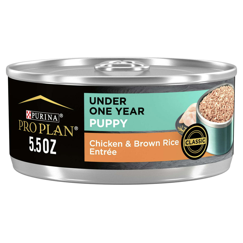 Purina Pro Plan Wet Puppy Food for Dogs Under 1 Year Chicken Brown, 5.5 oz Cans (24 Pack) - petspots